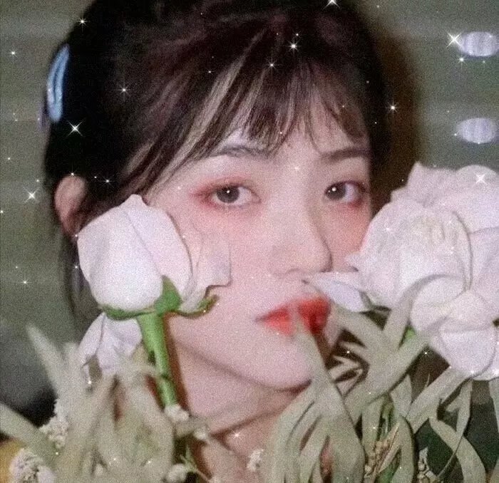 二十 封面