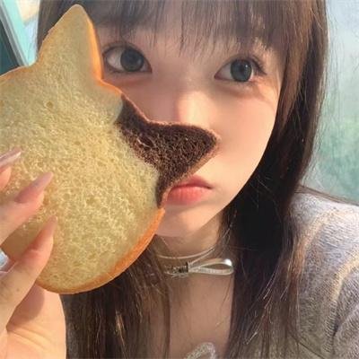 觅法奇程 封面