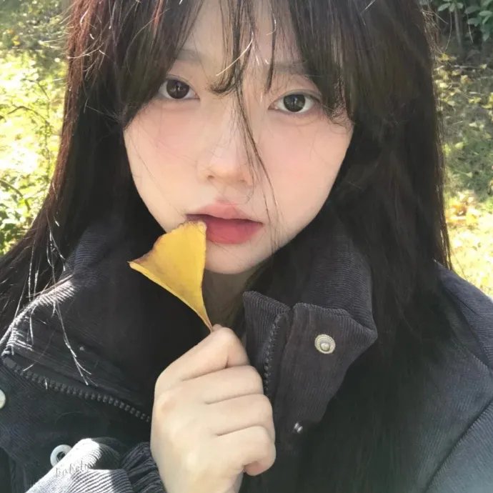 犯罪都市4 封面